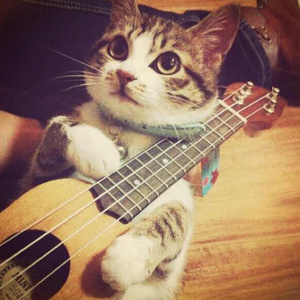 黑人巨大❌❌❌两根一起
